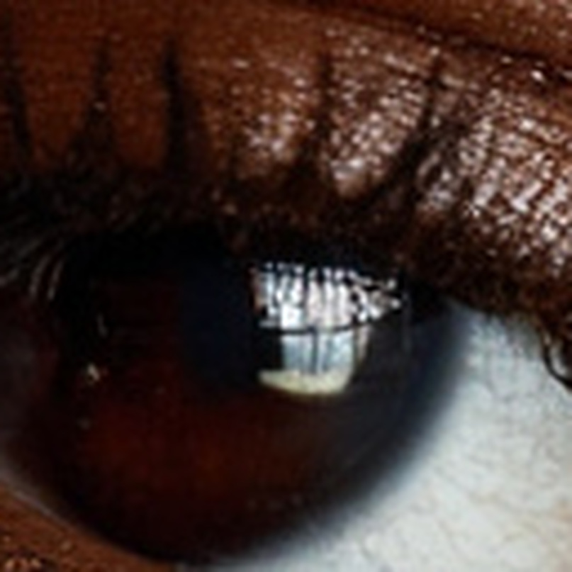 Original eye crop stretched to the 8K output size